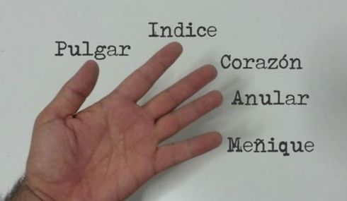 Nombres de los dedos de la mano